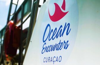 Buceo Ocean Encounters