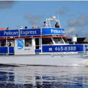 Guided Snorkel Tour