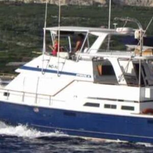 Diepzeevis Charter (Hele dag)