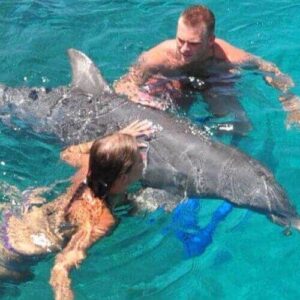 Dolphin Encounter