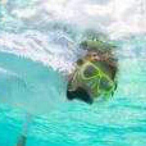 Half day snorkel trip by boat