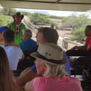 Safari Tour at Ostrich farm