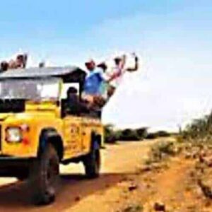 Zonsondergang/Zonsopgang safari