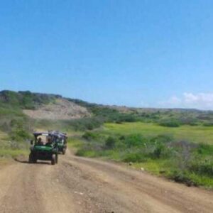 De Hangover Buggy Trip