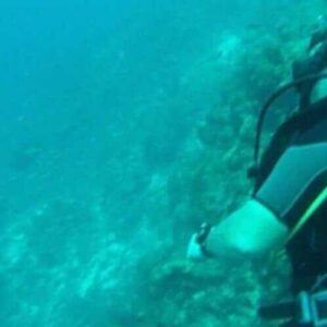 Tugboat dive Excursion