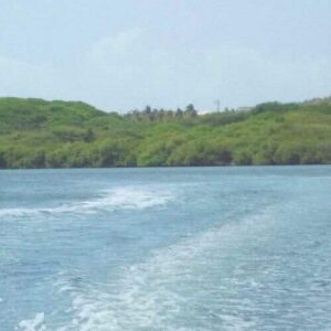 Wakeboarding at Curacao