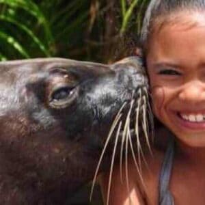 Zeeleeuwen Encounter