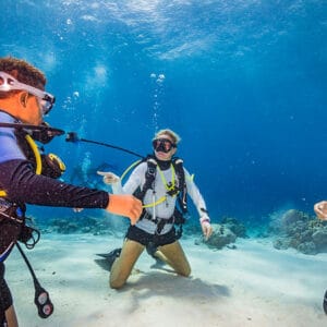 Dive into Adventure with the PADI Open Water Course in Curacao