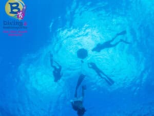 Discover the Thrills of the PADI Freediver Basic & Freediver Courses in Curacao