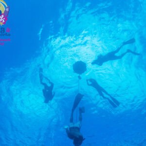 Discover the Thrills of the PADI Freediver Basic & Freediver Courses in Curacao