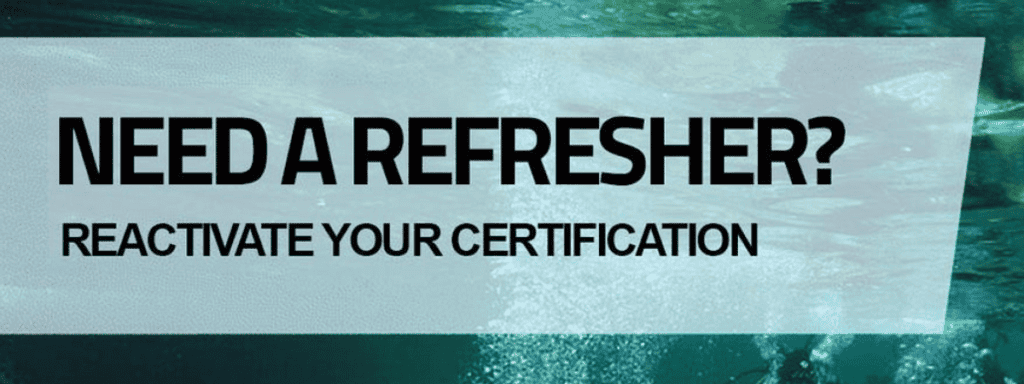 PADI ReActivate Course in Curacao: Dive Back Into Adventure!