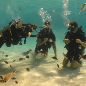 Ontdek de onderwaterwereld met de PADI Open Water Diver-cursus bij Coral Divers