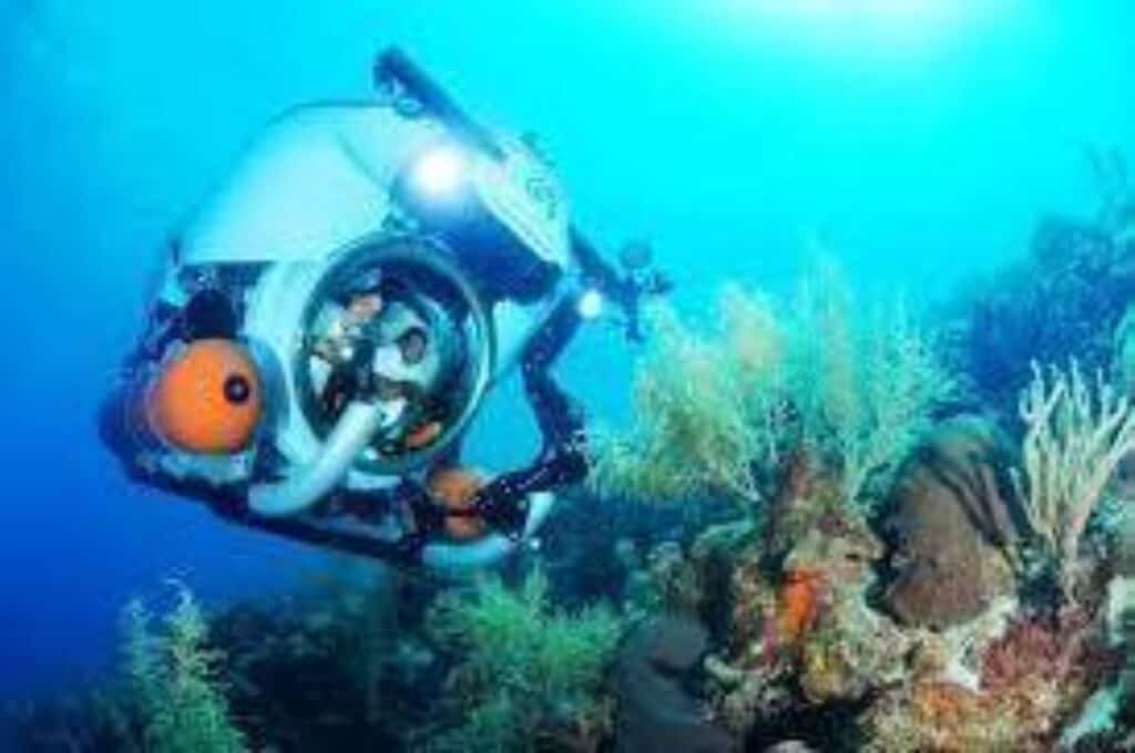 Explore Dive Substation with Jan Thiel Diving in Curacao