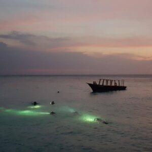 Ervaar de sensatie van een 1 Tank begeleide nachtduik bij Coral Divers op Curaçao