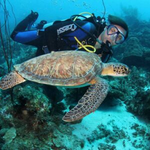 Duik in het paradijs: Ontdek de huisriffen van Blue Bay Dive op Curaçao
