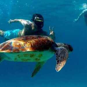 Explore Curaçao's West Coast: A Thrilling Speedboat Adventure