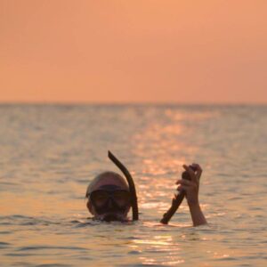 Experience the Magic of a 1 Tank Guided Night Dive in Curacao