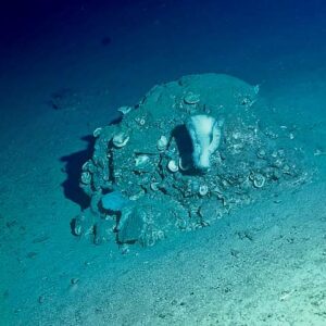 Plan je perfecte privé- of bedrijfsevenement op Curaçao