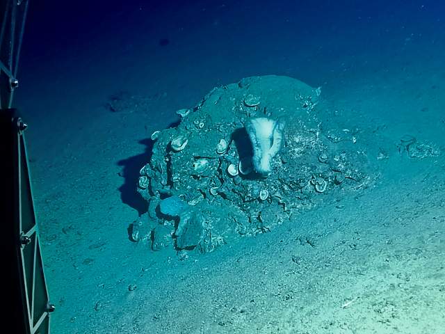 Plan je perfecte privé- of bedrijfsevenement op Curaçao