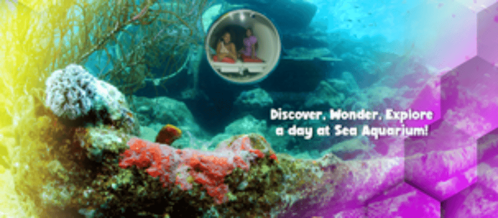 Discover the Wonders of the Sea at Curaçao Sea Aquarium