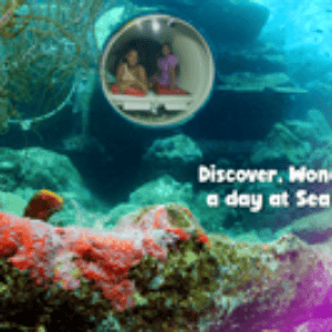 Ontdek de wonderen van de zee in het Curaçao Sea Aquarium