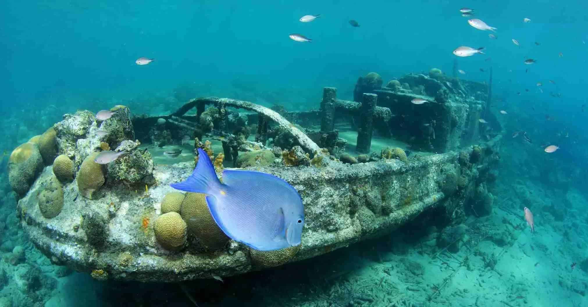 One Tank Bootduik met Ocean Encounters op Curaçao