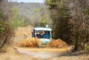 Explore Curaçao with Arie-Jan van Marion: Your Expert Chauffeur and Guide