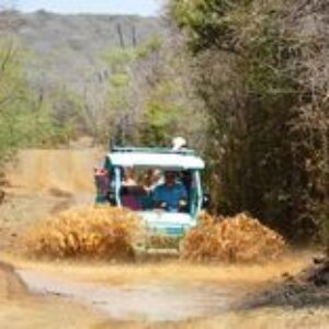 Explore Curaçao with Arie-Jan van Marion: Your Expert Chauffeur and Guide