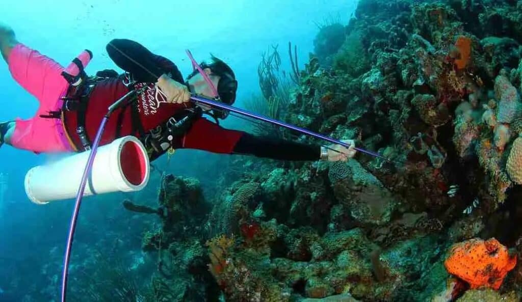Lionfish Scuba Dive Experience in Curaçao