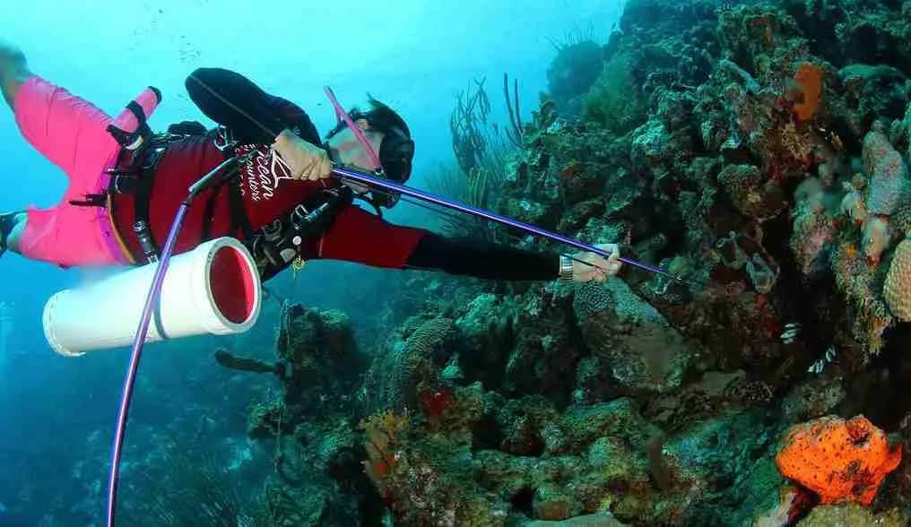 Lionfish Scuba Dive Experience in Curaçao