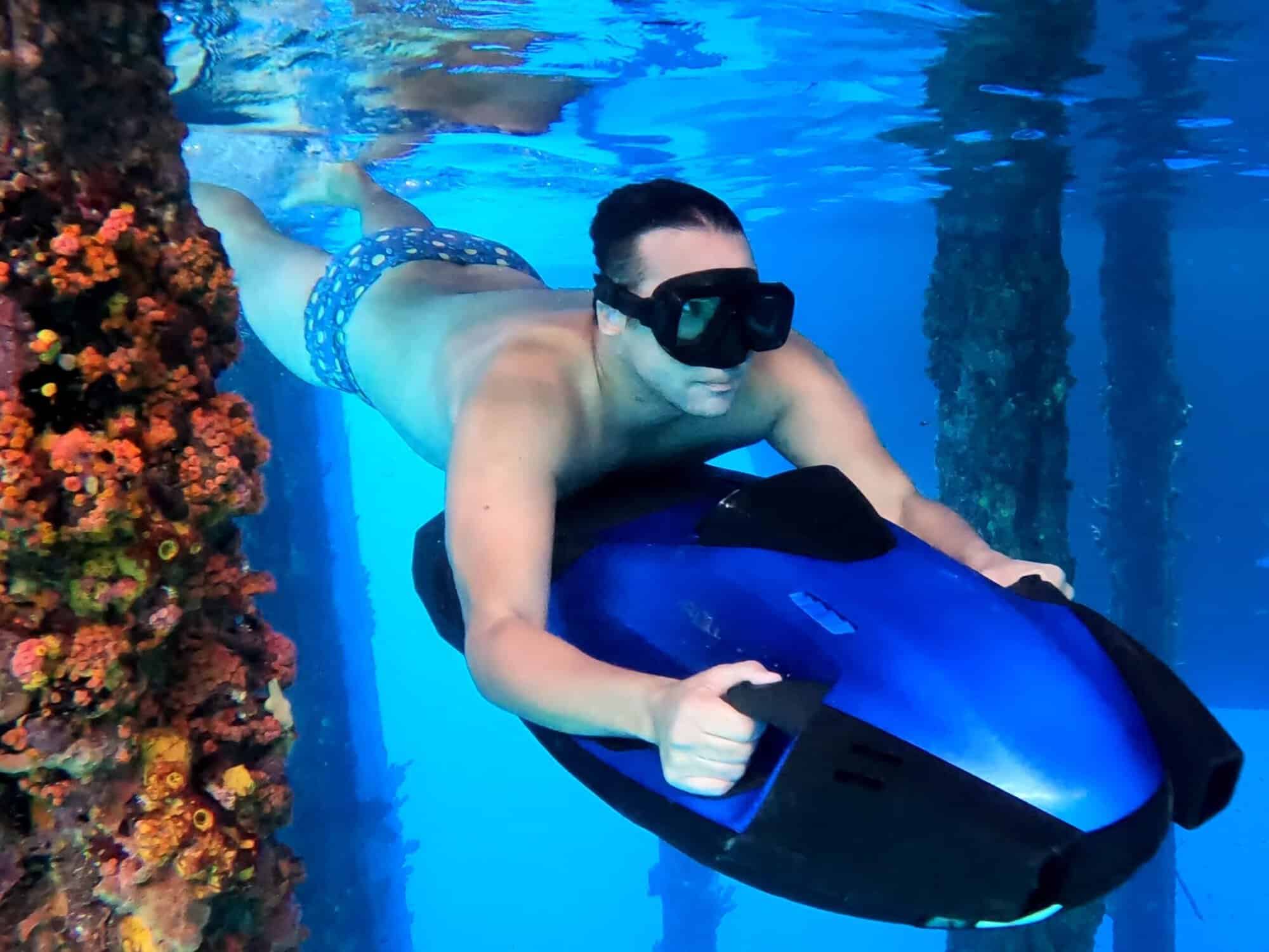 Discover the Underwater World of Curacao with SivAquatics