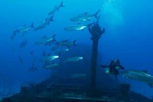 Discover Scuba Dive at Blue Bay Dive & Watersports: Your Gateway to the Underwater World