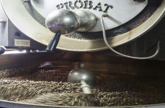 Cafe Barista Curacao