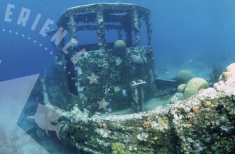 Caribbean Experience Curacao