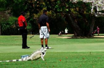 Curacao Golf and Squash Club