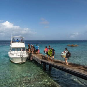 Verken de beste duikplekken op Curaçao met Go West Diving