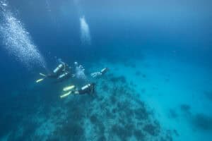 PADI Rescue Diver Course in Curaçao