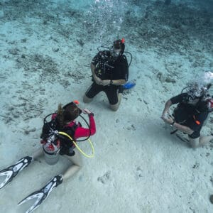 Complete Your Open Water Referral in Curaçao with Go West Diving
