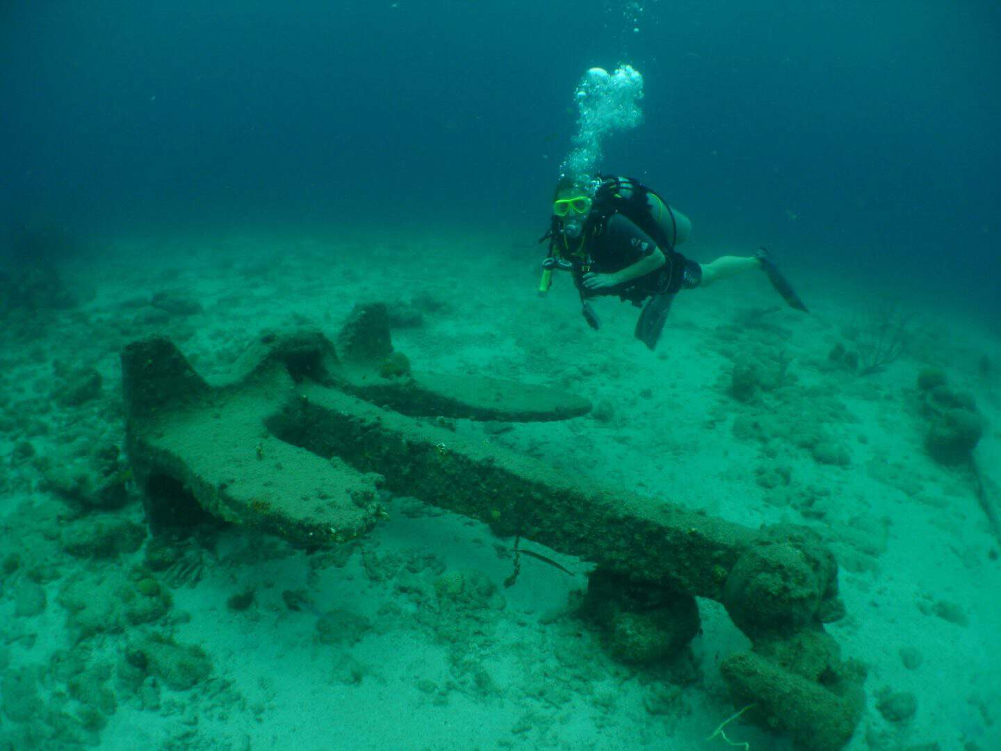 Discover the Advanced Open Water Course at Tugboat Beach, Curacao ...