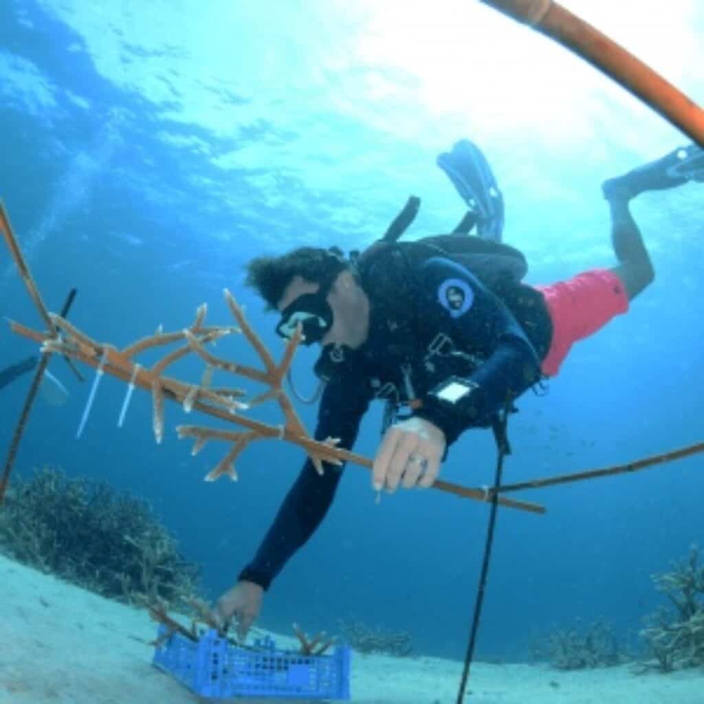 Twee Tank AM bootduiken op Curaçao: Een onvergetelijk avontuur