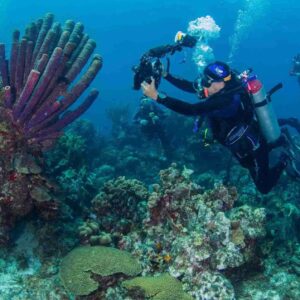 Duik in avontuur met het Onbeperkt Duiken Pakket van 1 Dag bij Ocean Encounters