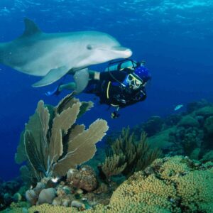 6 dagen duiken met 2 tankboten op Curaçao met Ocean Encounters