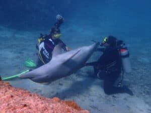 Dive into Adventure with CURious 2 DIVE in Curaçao