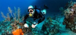 Dive Equipment Rental with Goby Divers in Curacao