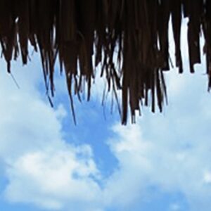 Discover Ultimate Relaxation with Yoga Holidays in Curaçao