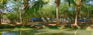 Mimis Eco Farm