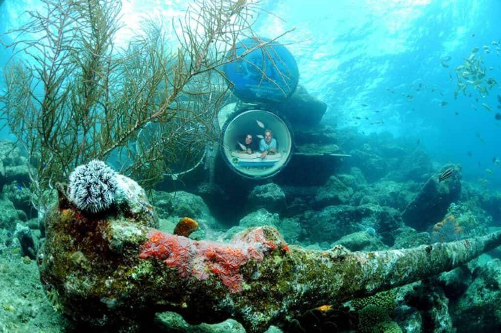 Explore the Ocean Lens - Guided Tour at Curaçao Sea Aquarium Park