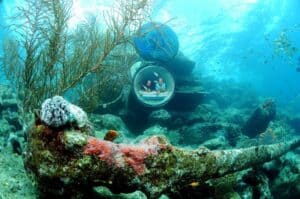 Verken de oceaanlens - Rondleiding in het Curaçao Sea Aquarium Park