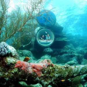 Verken de oceaanlens - Rondleiding in het Curaçao Sea Aquarium Park