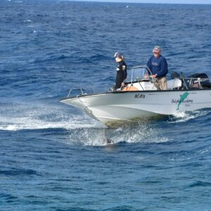 Duik in de magie van dolfijntraining bij de Dolphin Academy Curaçao